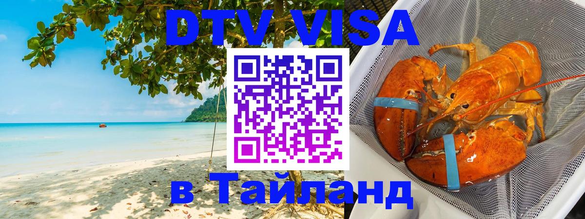 Сколько стоит DTV виза — актуальные цены, оформление даже без документов - Брянск  04.10.2025 